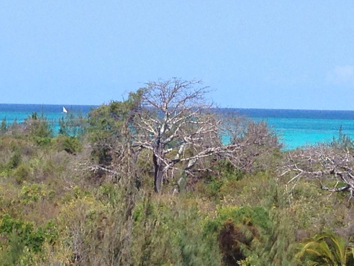 Resort Crim Wind Freedom Jambiani (Zanzibar)