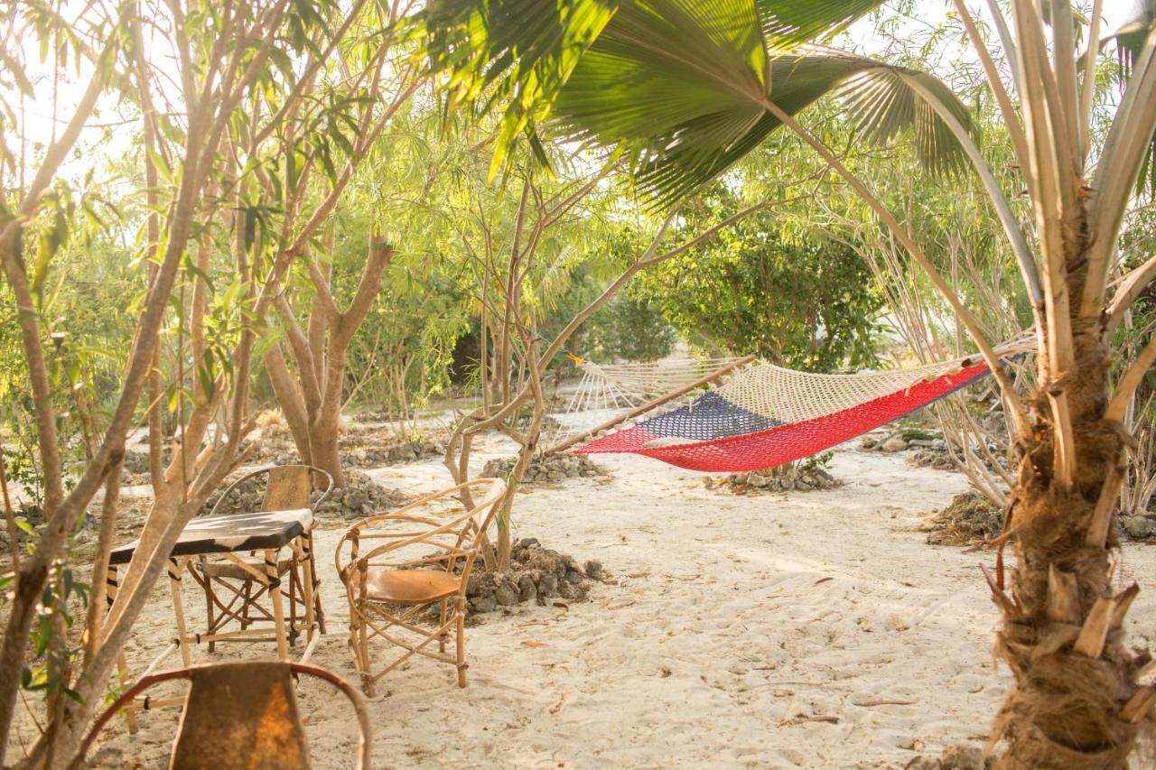 Crim Wind Freedom Jambiani (Zanzibar)